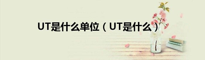 UT是什么单位（UT是什么）