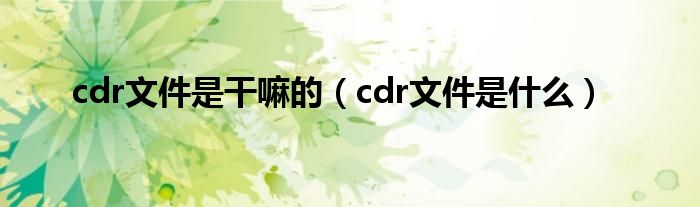 cdr文件是干嘛的（cdr文件是什么）