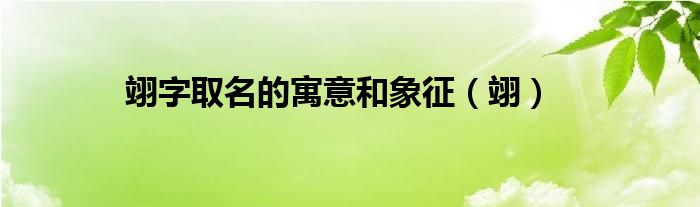 翊字取名的寓意和象征（翊）