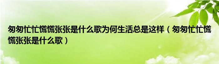 匆匆忙忙慌慌张张是什么歌为何生活总是这样（匆匆忙忙慌慌张张是什么歌）