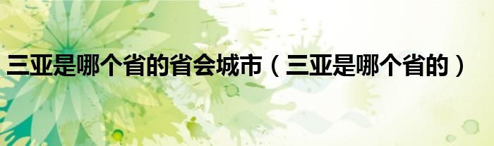 三亚是哪个省的省会城市（三亚是哪个省的）