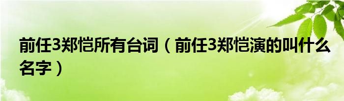 前任3郑恺所有台词（前任3郑恺演的叫什么名字）