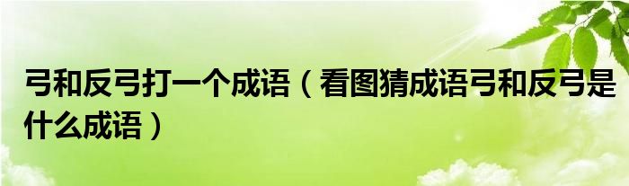 弓和反弓打一个成语（看图猜成语弓和反弓是什么成语）