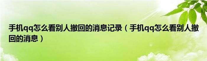 手机qq怎么看别人撤回的消息记录（手机qq怎么看别人撤回的消息）