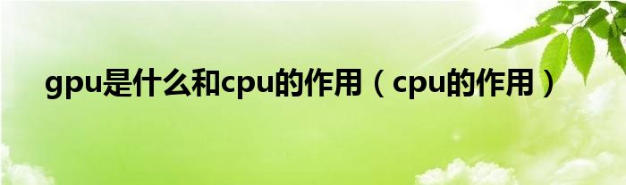 gpu是什么和cpu的作用（cpu的作用）