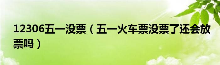 12306五一没票（五一火车票没票了还会放票吗）