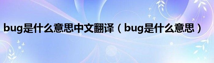 bug是什么意思中文翻译（bug是什么意思）