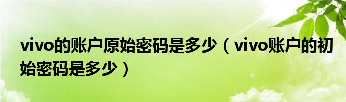 vivo的账户原始密码是多少（vivo账户的初始密码是多少）