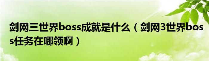 剑网三世界boss成就是什么（剑网3世界boss任务在哪领啊）