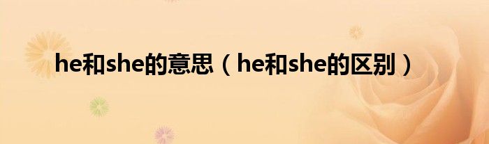 he和she的意思（he和she的区别）