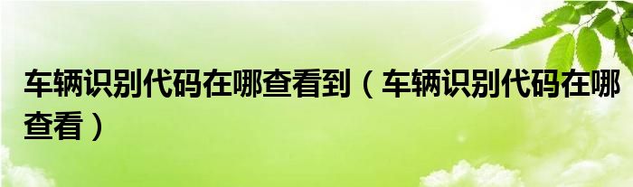 车辆识别代码在哪查看到（车辆识别代码在哪查看）