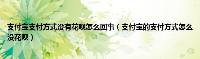 支付宝支付方式没有花呗怎么回事（支付宝的支付方式怎么没花呗）