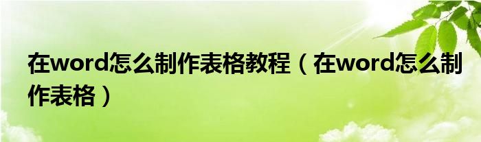 在word怎么制作表格教程（在word怎么制作表格）