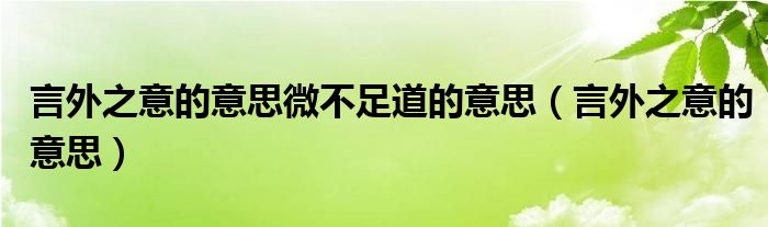 言外之意的意思微不足道的意思（言外之意的意思）