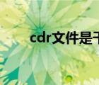 cdr文件是干嘛的（cdr文件是什么）