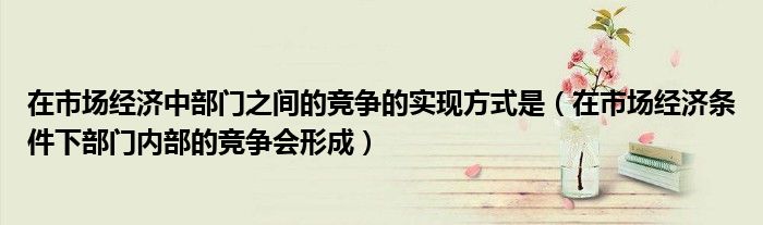 在市场经济中部门之间的竞争的实现方式是（在市场经济条件下部门内部的竞争会形成）