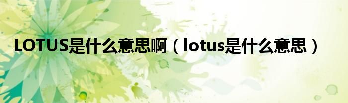 LOTUS是什么意思啊（lotus是什么意思）