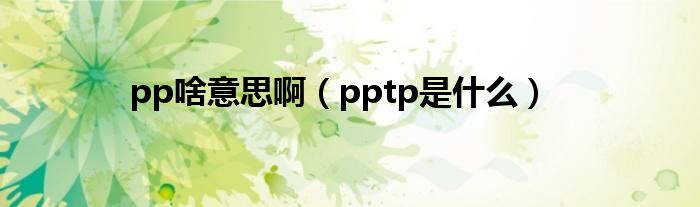 pp啥意思啊（pptp是什么）