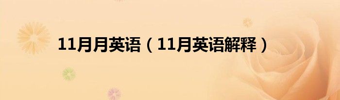 11月月英语（11月英语解释）