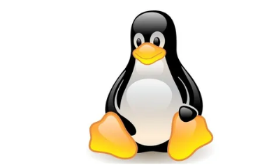 一个小型的实时启动Linux安装起死回生