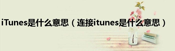 iTunes是什么意思（连接itunes是什么意思）