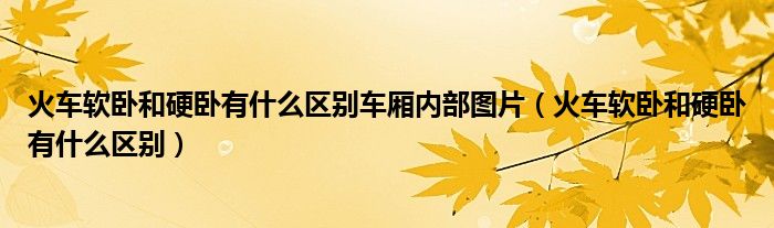 火车软卧和硬卧有什么区别车厢内部图片（火车软卧和硬卧有什么区别）