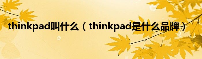 thinkpad叫什么（thinkpad是什么品牌）