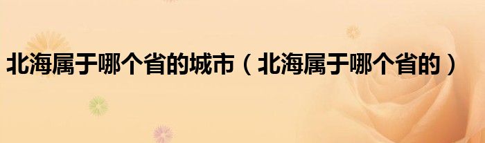 北海属于哪个省的城市（北海属于哪个省的）