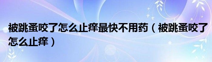 被跳蚤咬了怎么止痒最快不用药（被跳蚤咬了怎么止痒）