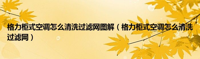 格力柜式空调怎么清洗过滤网图解（格力柜式空调怎么清洗过滤网）