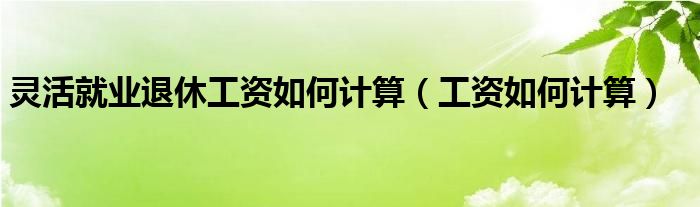 灵活就业退休工资如何计算（工资如何计算）