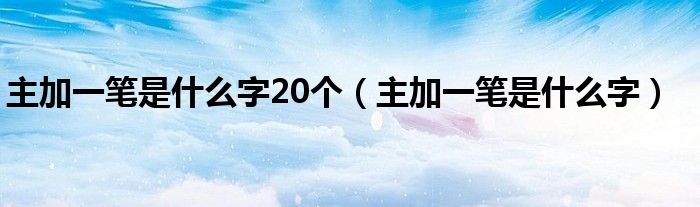 主加一笔是什么字20个（主加一笔是什么字）