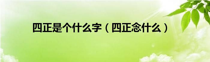 四正是个什么字（四正念什么）