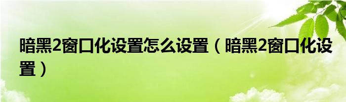 暗黑2窗口化设置怎么设置（暗黑2窗口化设置）