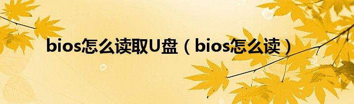 bios怎么读取U盘（bios怎么读）