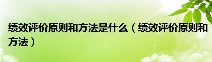 绩效评价原则和方法是什么（绩效评价原则和方法）