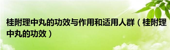 桂附理中丸的功效与作用和适用人群（桂附理中丸的功效）