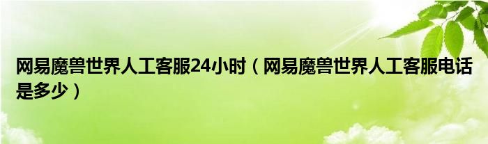 网易魔兽世界人工客服24小时（网易魔兽世界人工客服电话是多少）