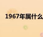 1967年属什么生肖（1978年属什么生肖）