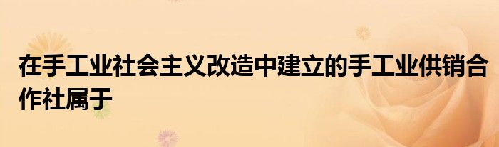 在手工业社会主义改造中建立的手工业供销合作社属于