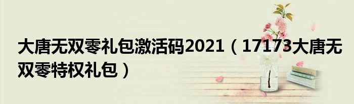 大唐无双零礼包激活码2021（17173大唐无双零特权礼包）