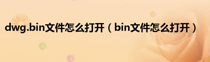 dwg.bin文件怎么打开（bin文件怎么打开）