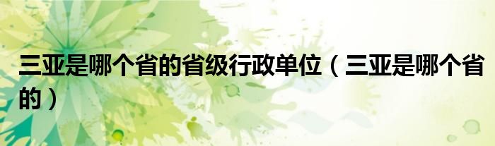 三亚是哪个省的省级行政单位（三亚是哪个省的）