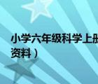 小学六年级科学上册知识点总结（小学六年级科学上册复习资料）