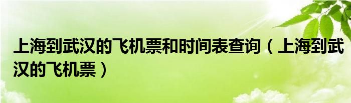 上海到武汉的飞机票和时间表查询（上海到武汉的飞机票）