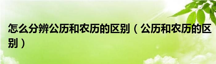 怎么分辨公历和农历的区别（公历和农历的区别）