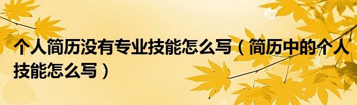 个人简历没有专业技能怎么写（简历中的个人技能怎么写）