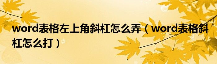 word表格左上角斜杠怎么弄（word表格斜杠怎么打）