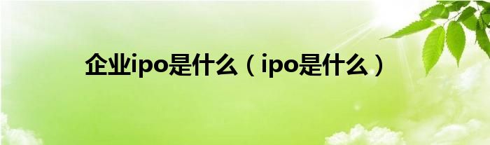 企业ipo是什么（ipo是什么）