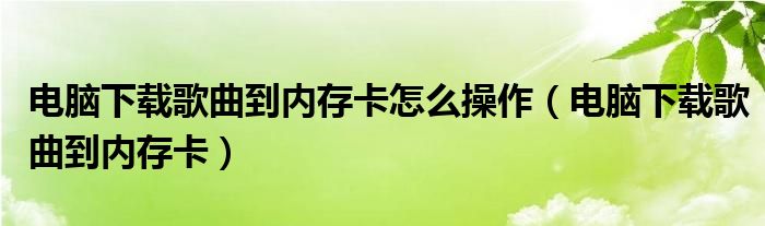 电脑下载歌曲到内存卡怎么操作（电脑下载歌曲到内存卡）